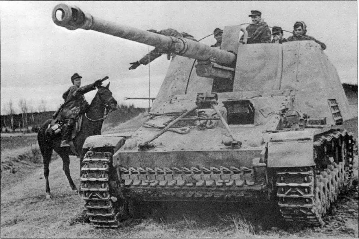 Nashorn tankvadász