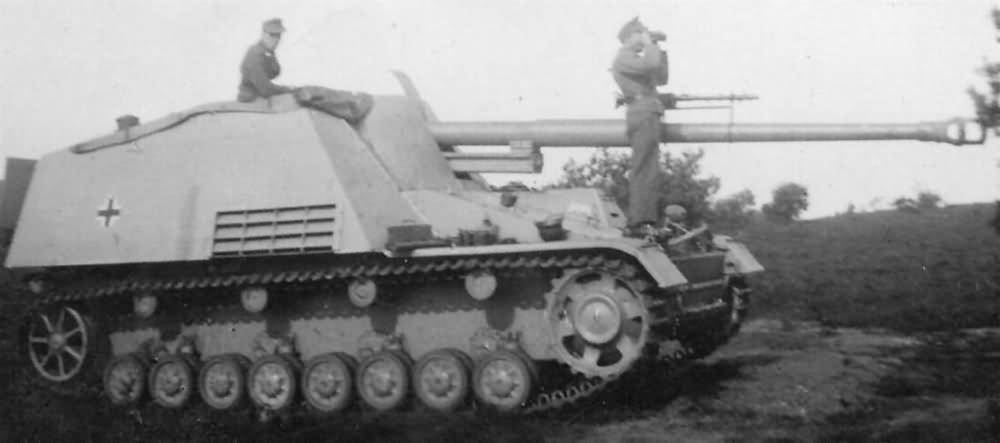 Nashorn tankvadász