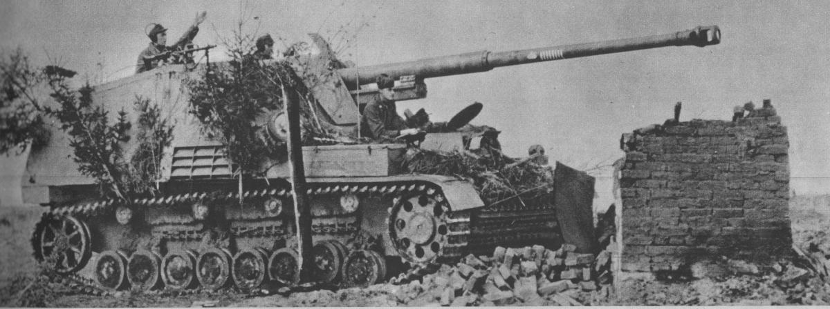 Nashorn tankvadász