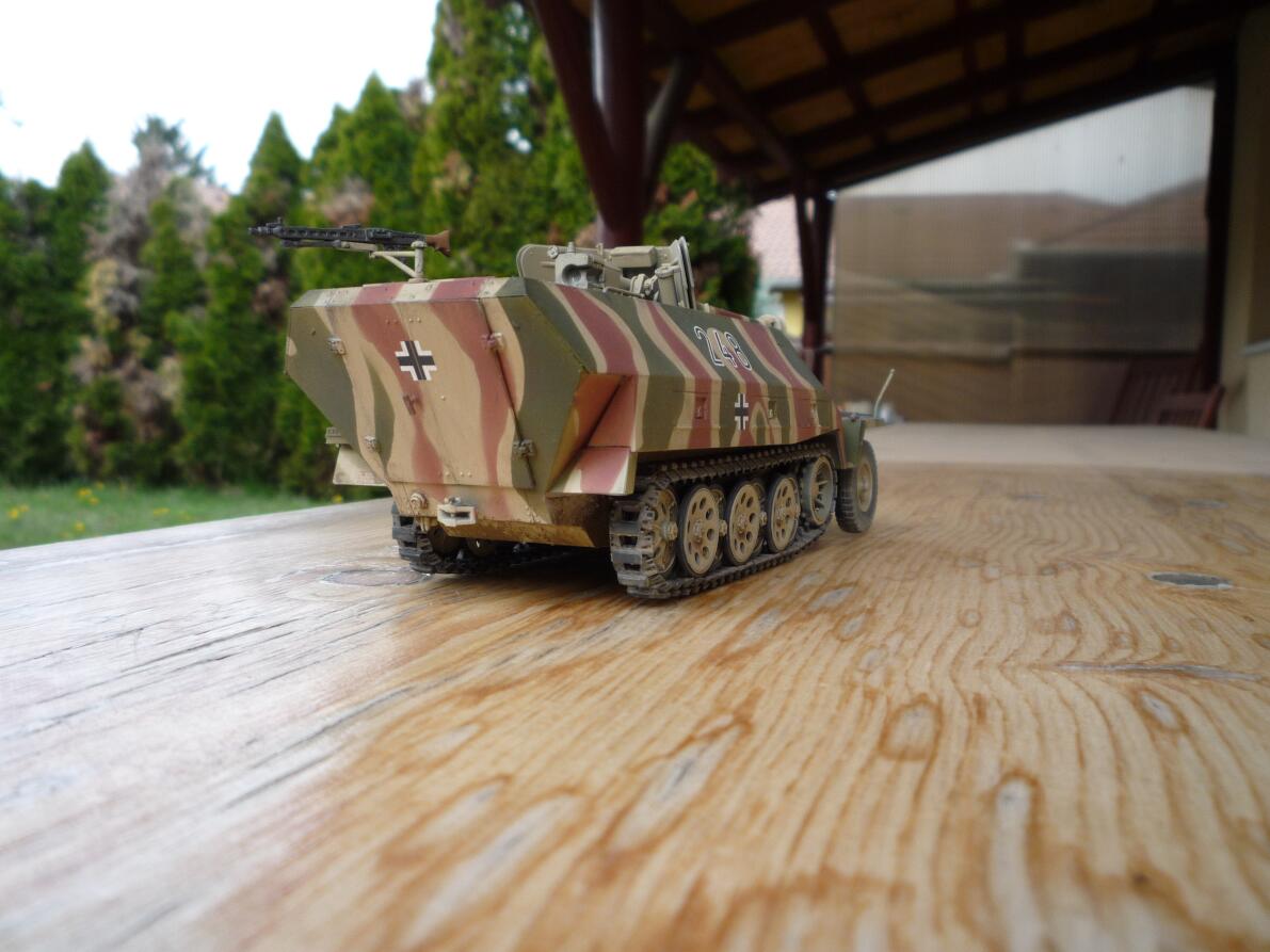 Sk. Kfz 251/22 Aufs. D